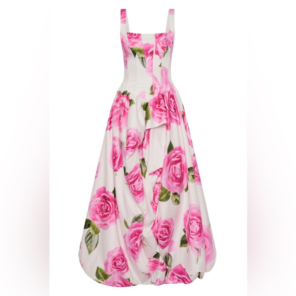 Aje Dresses & Skirts - Aje Alani Rose Floral Print Corset Cotton Ball Gown AU4/US0 NWT
